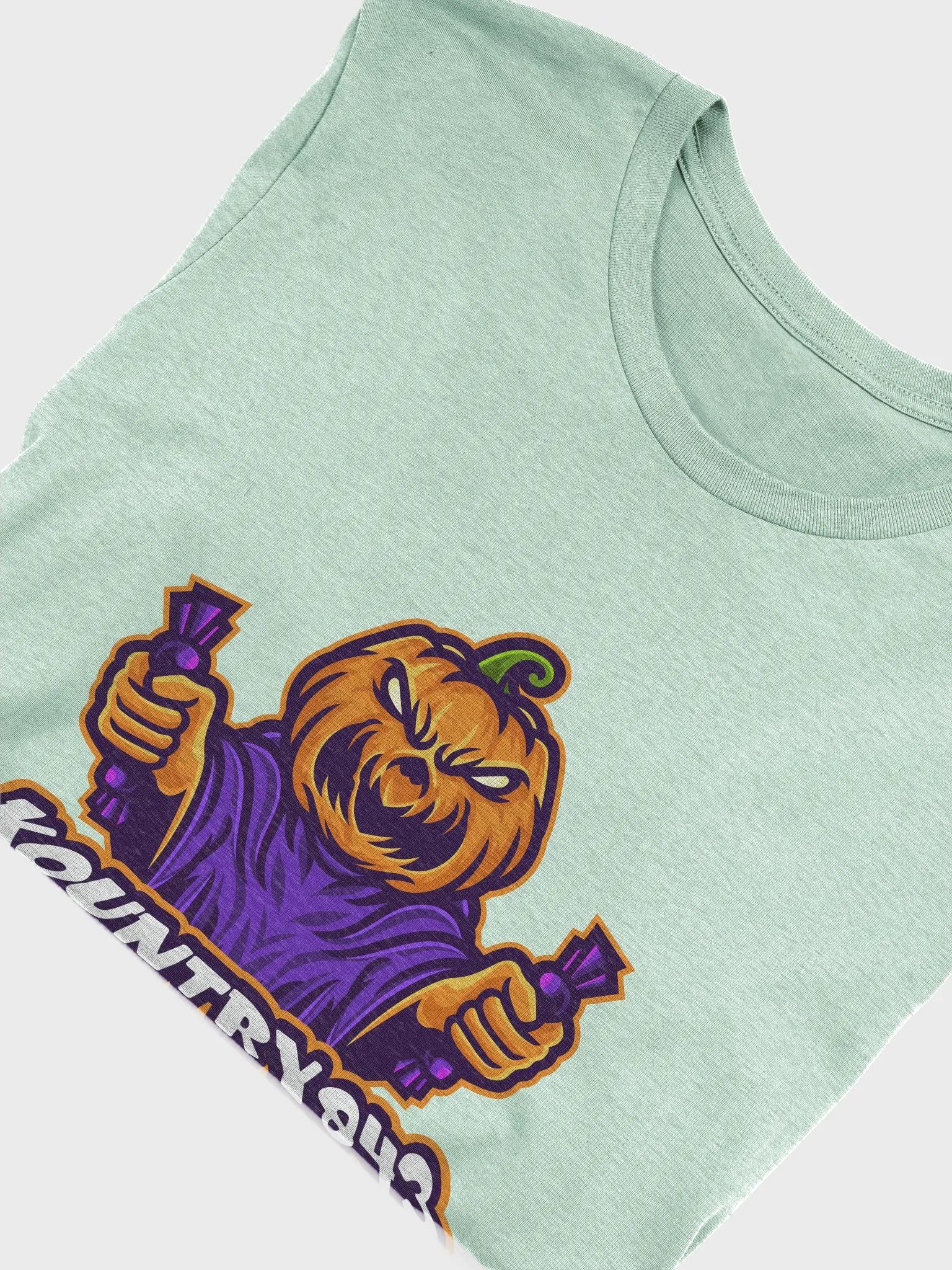Pumpkin Logo - T-Shirt product image (35)