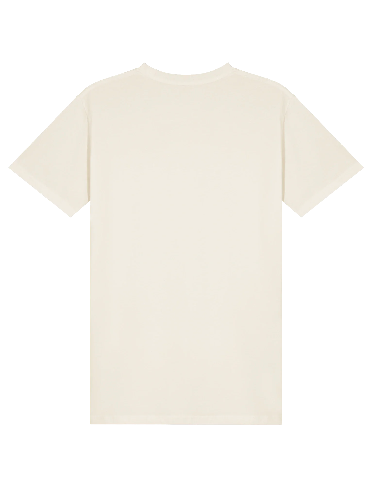 1st Drop Music Tucson Party Cactus T-shirt