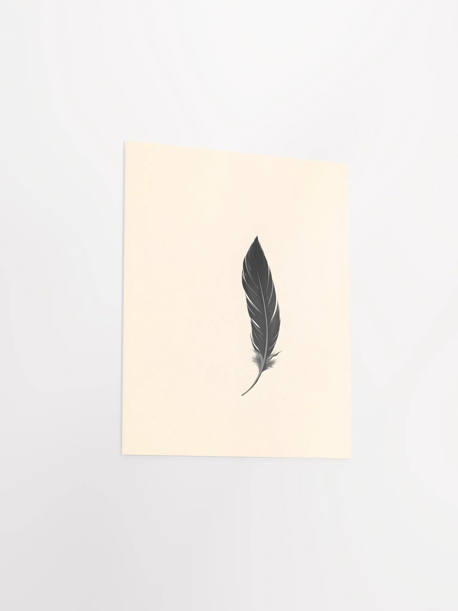 Elegant Black Feather product image (19)