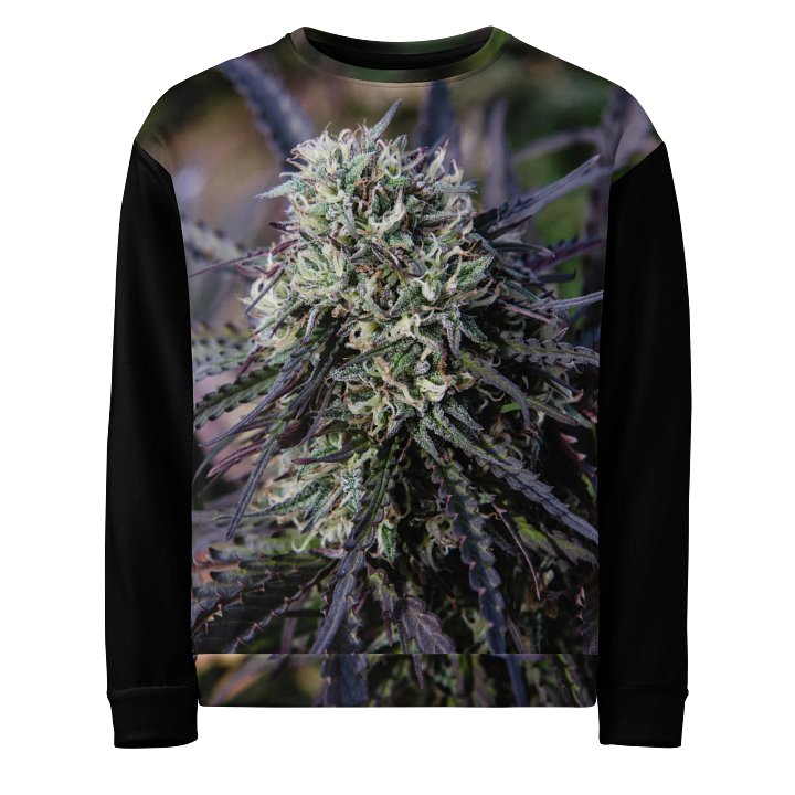 Royal Purple Cultivated Crewneck Sweatshirt product image (1)