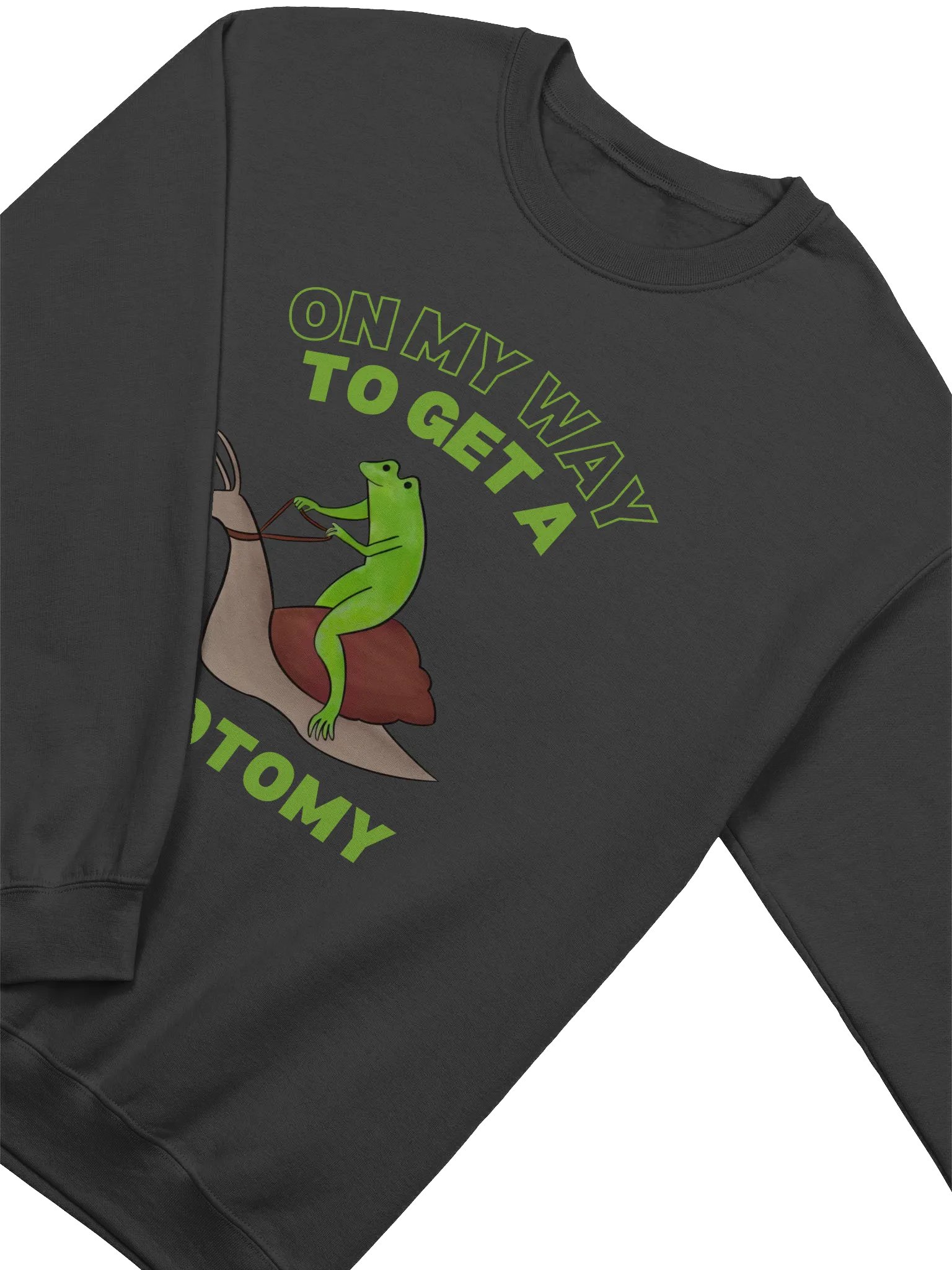 On My Way To Get A Lobotomy Frog On A Snail Sweatshirt product image (2)
