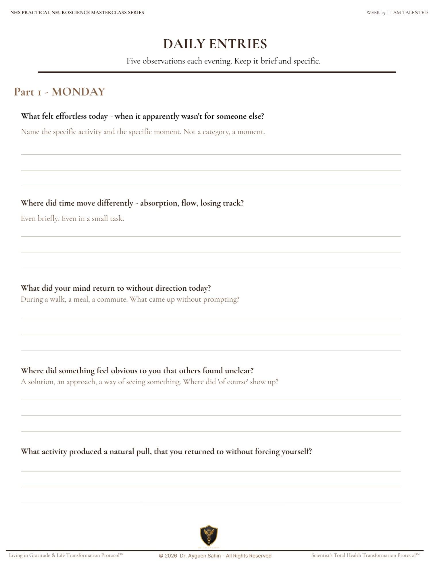 TALENT RECOGNITION AUDIT product image (4)
