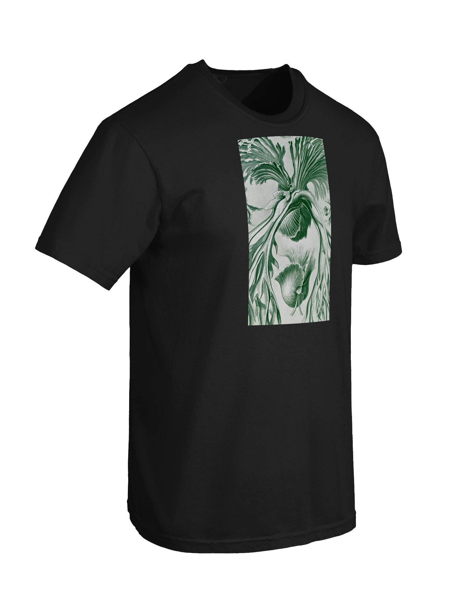 Staghorn Ferns Vintage Botanical Heavyweight T-Shirt product image (6)