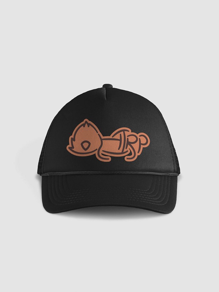 CH2RP Cap product image (1)