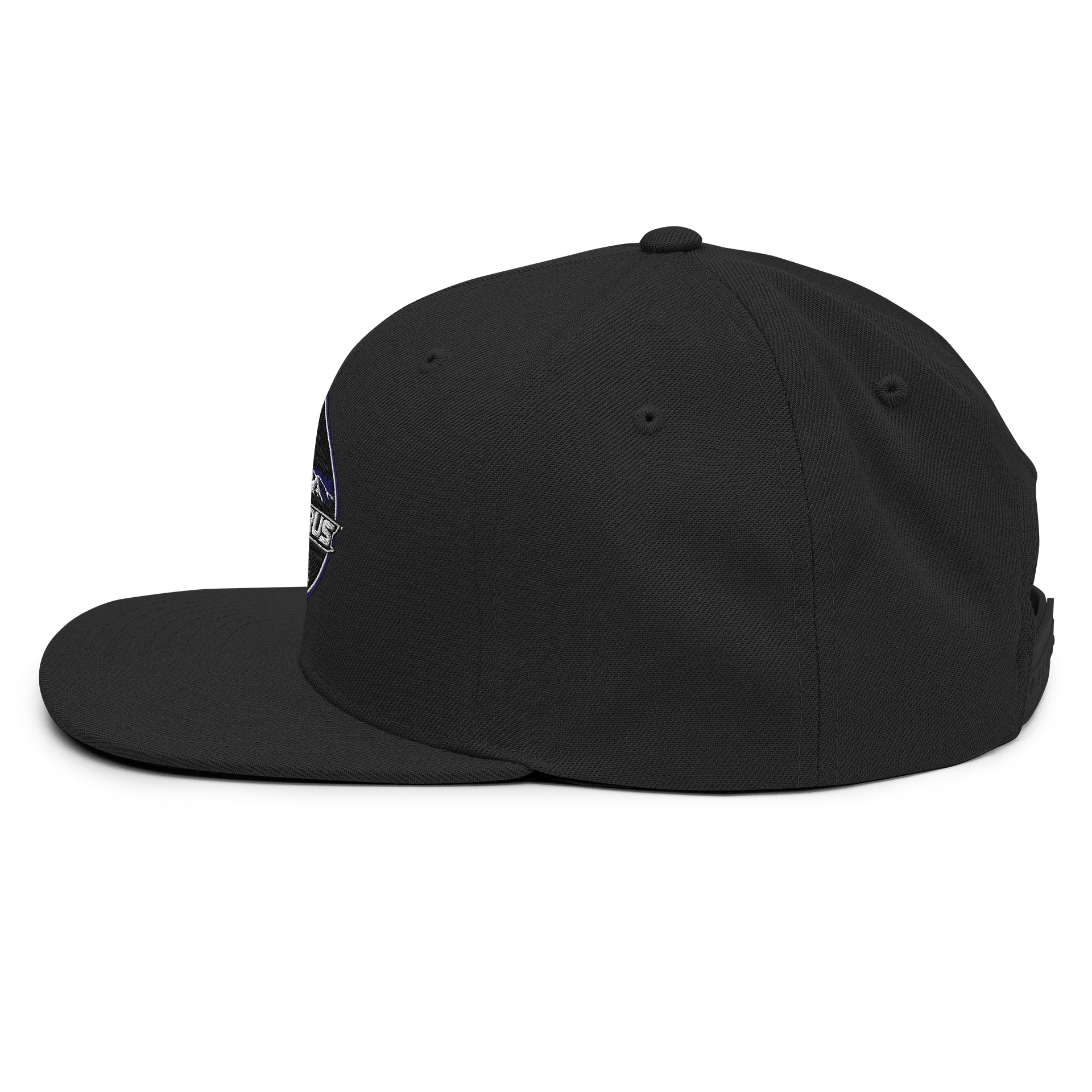 Flat brim team hat product image (13)