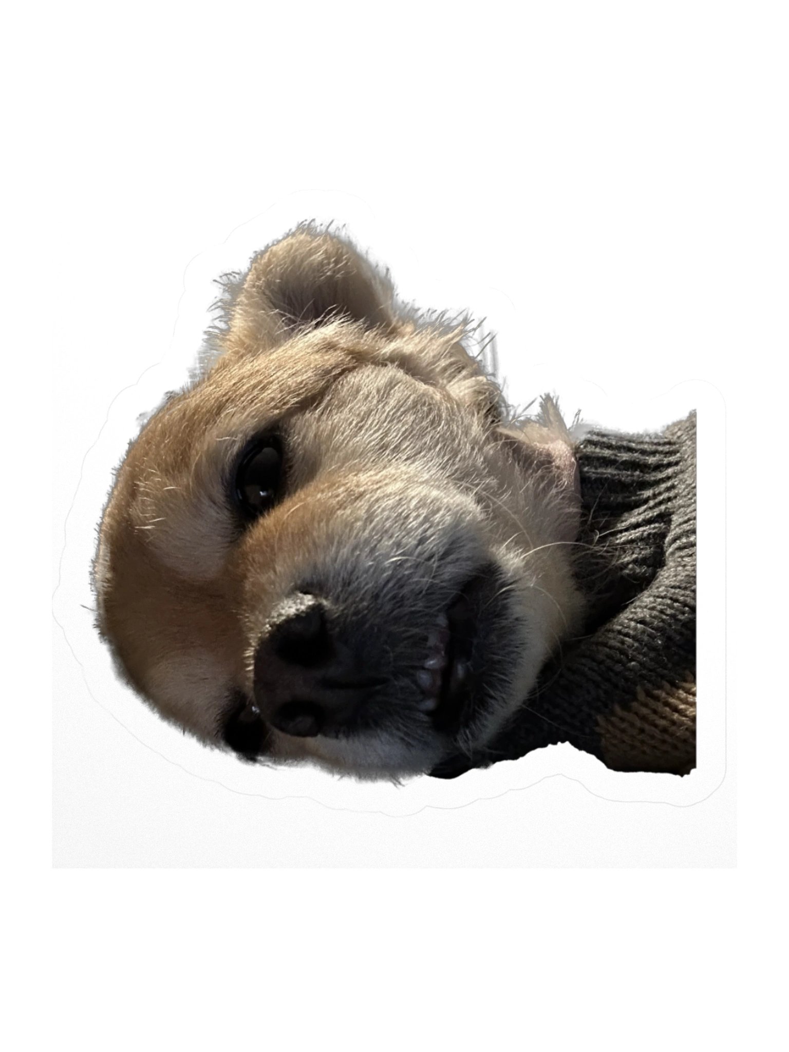Heavy Thoughts product image (1)