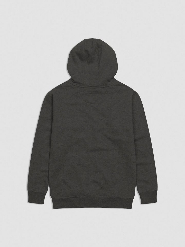 Bear With Us Embroided hoodie product image (2)