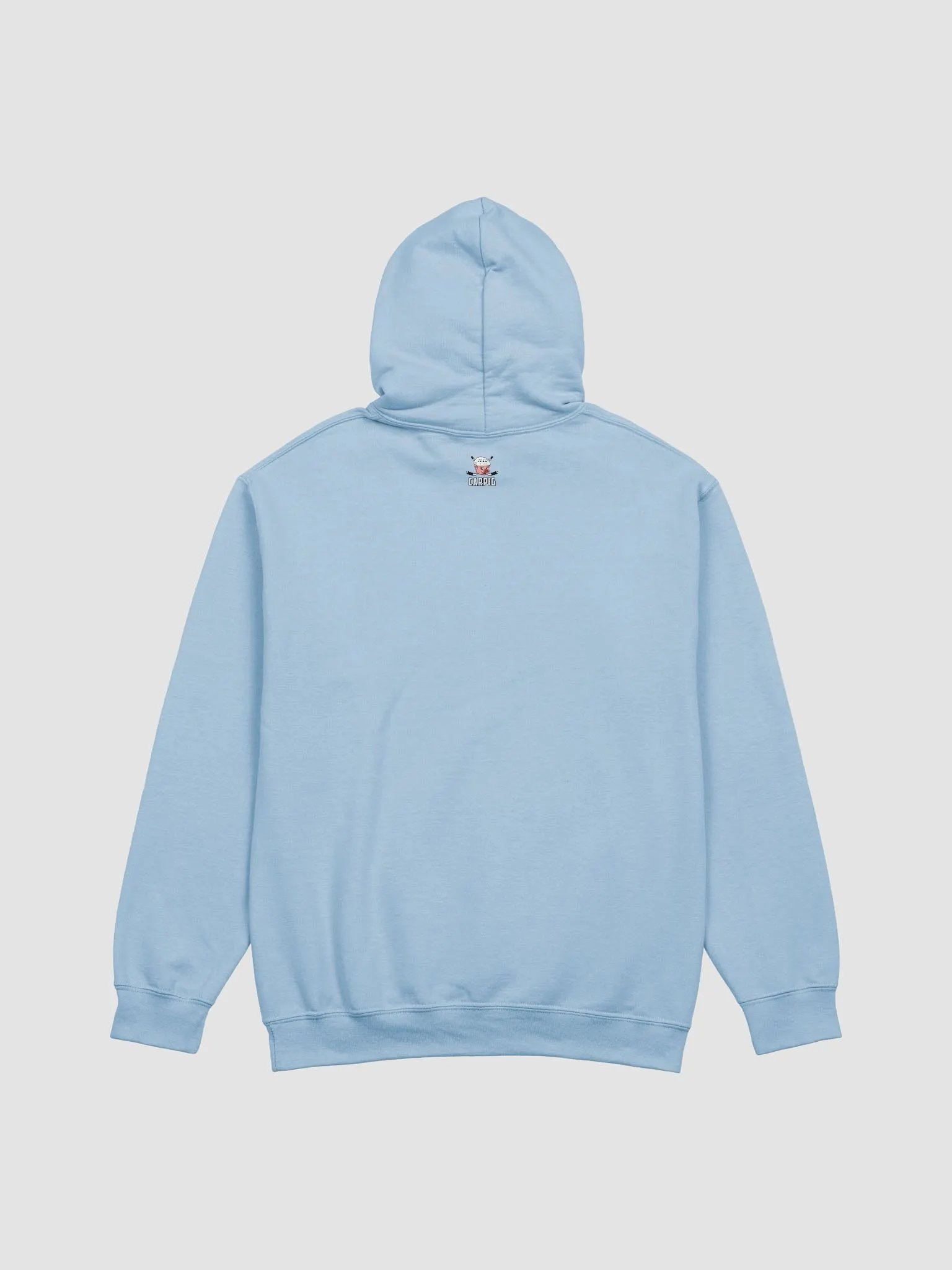 Michigan Progression Hoodie product image (4)