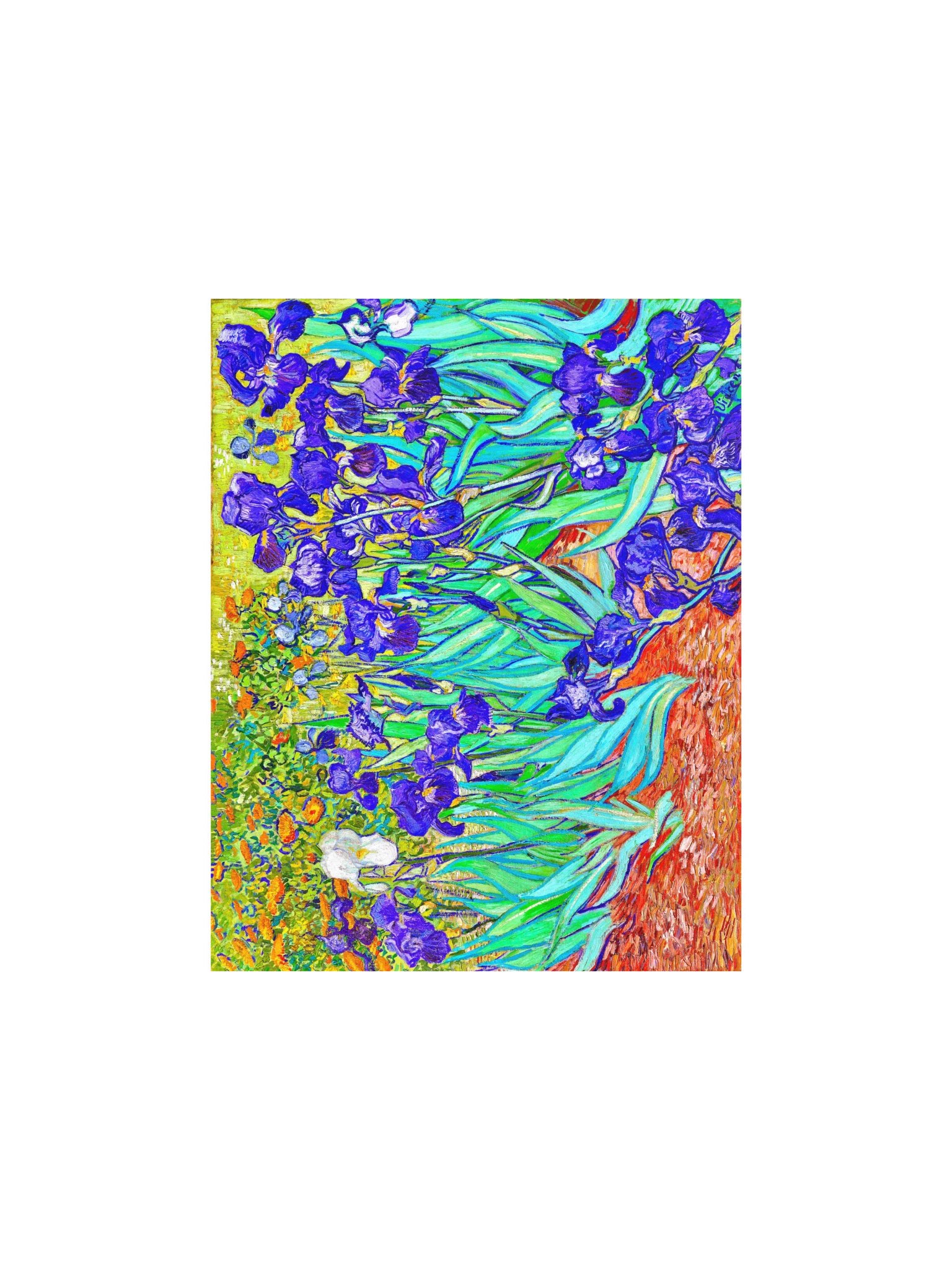 Irises — Small Poster product image (1)