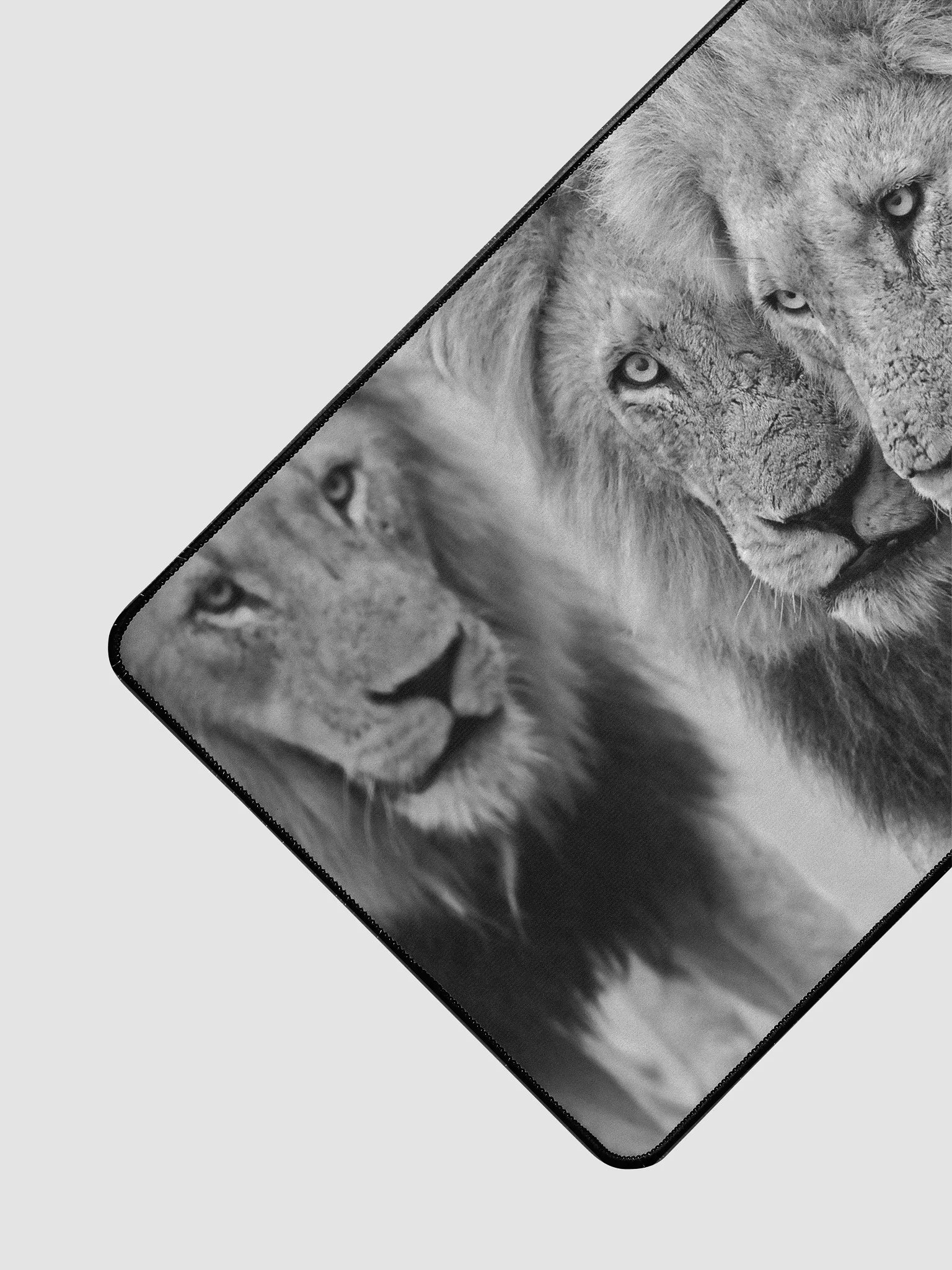 MANTIMAHLE Male Lions 2019 Skukuza product image (3)