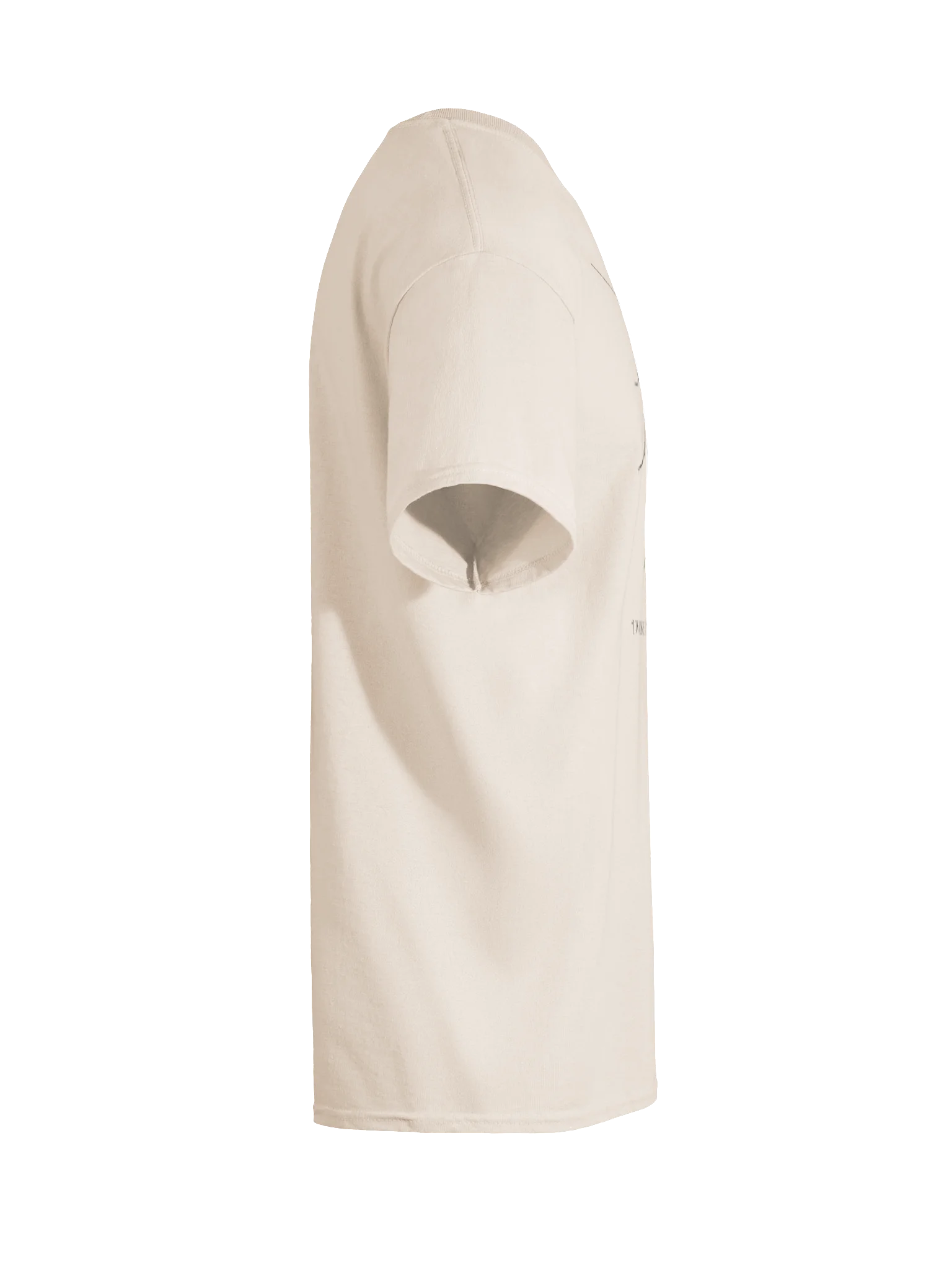 "I WOKE UP LIKE THIS." ― GREOR SAMSA product image (60)