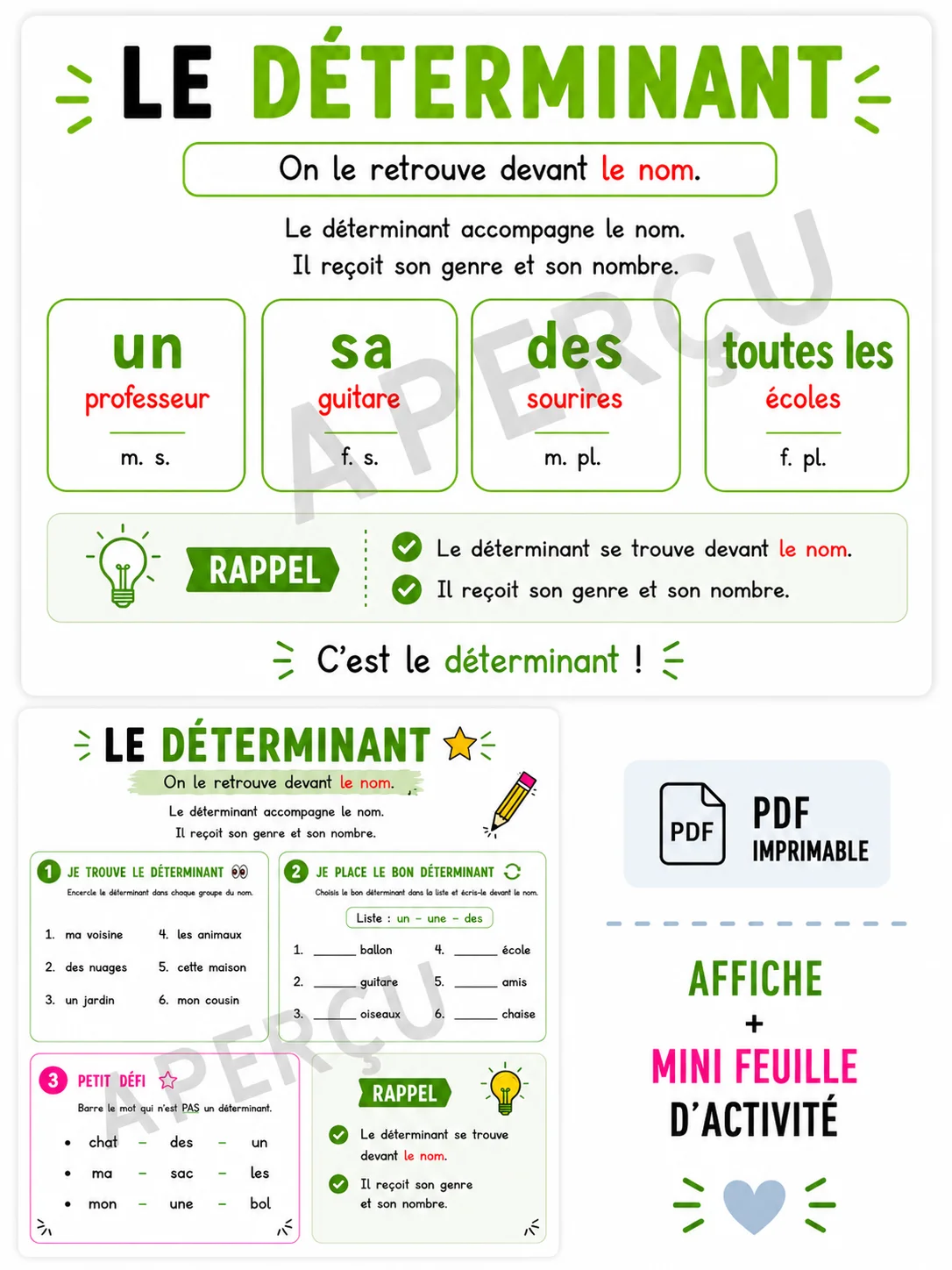 Le déterminant – Affiche + mini feuille d’activité | Un prof et sa guitare product image (1)