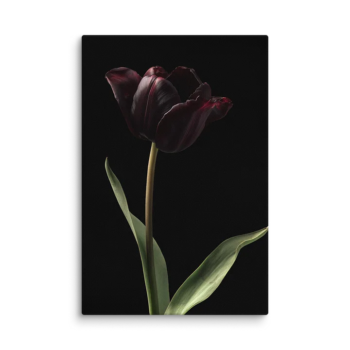 Tulips After Dusk II — Solitary Flame Canvas product image (1)