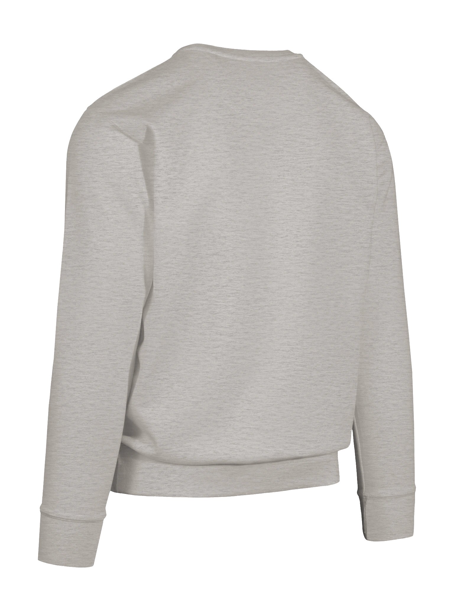 Shuster #2 Sweatshirt by Litchfield Studio product image (11)