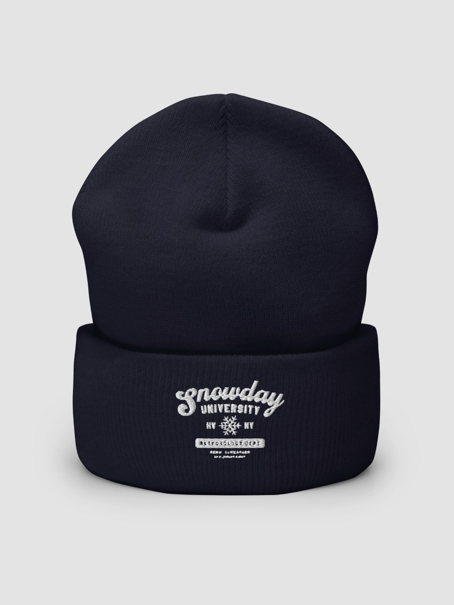 Snowday University beanie product image (2)
