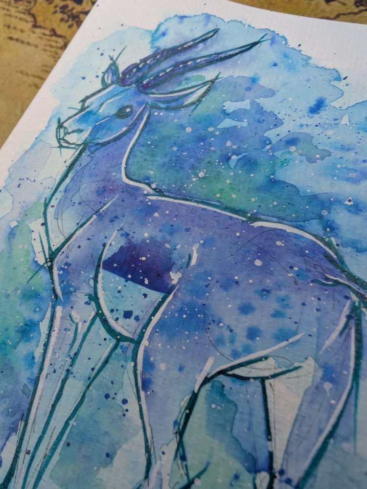Gazelle in Aqua product image (2)