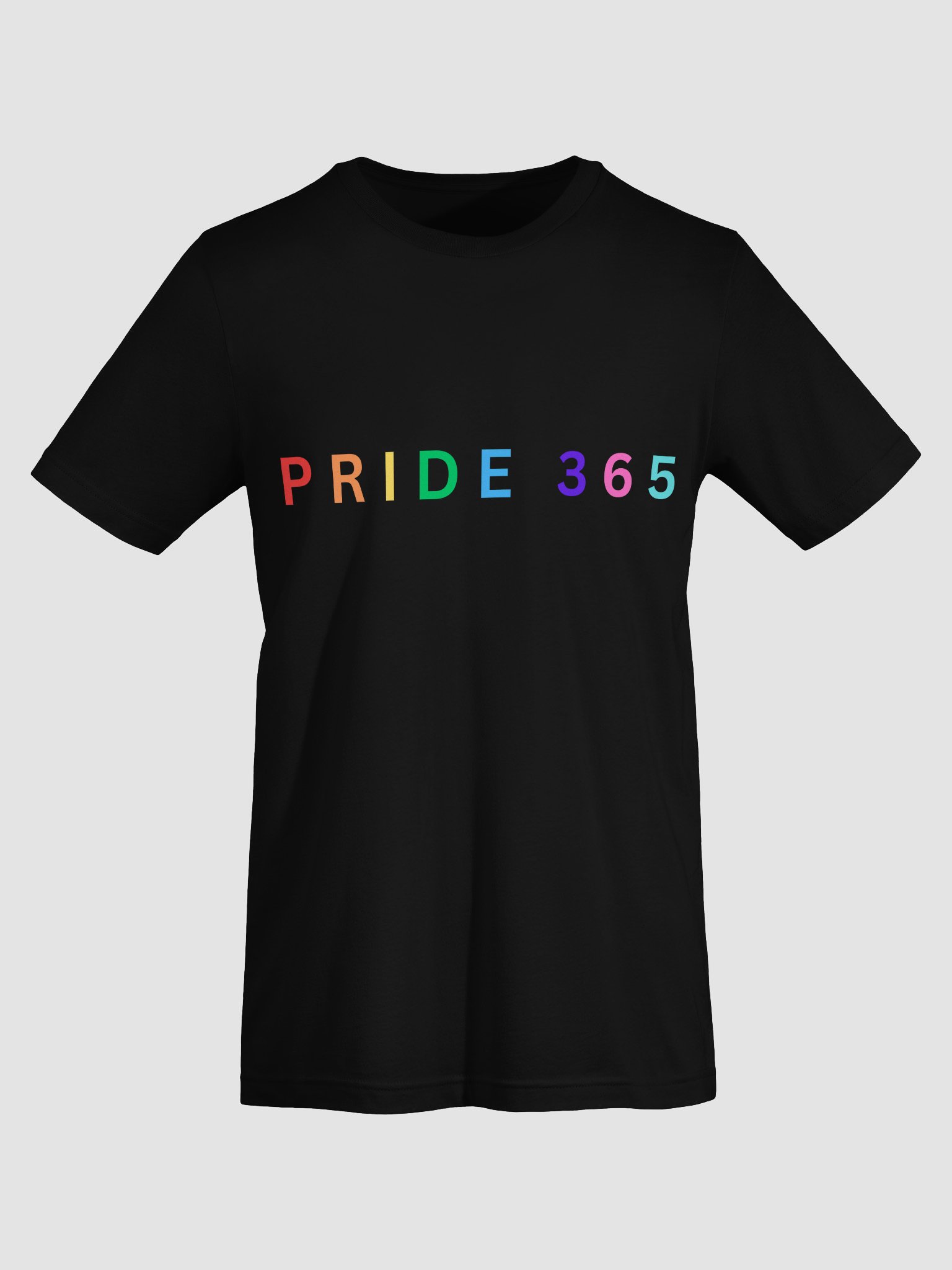 Pride 365 Tee product image (56)
