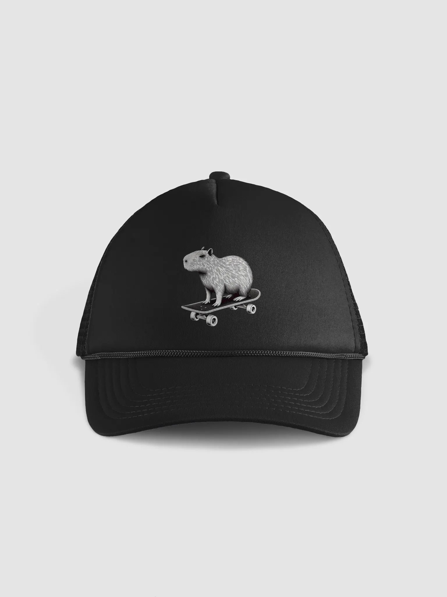 CAPybara product image (9)