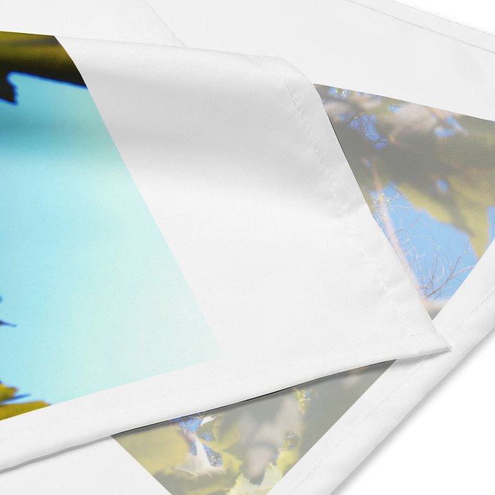 the sky product image (4)
