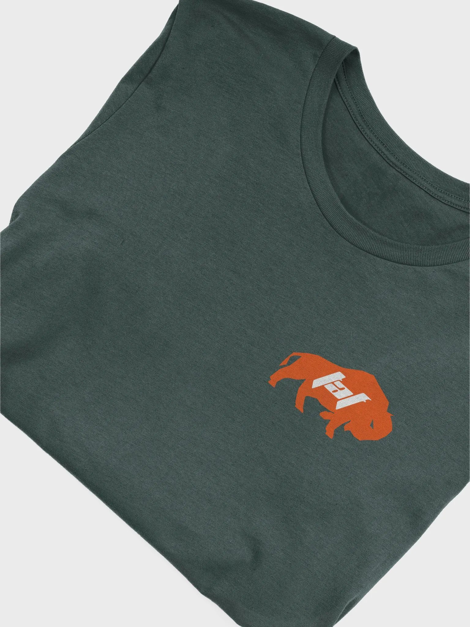 Motion Creates Emotion Tshirt product image (45)