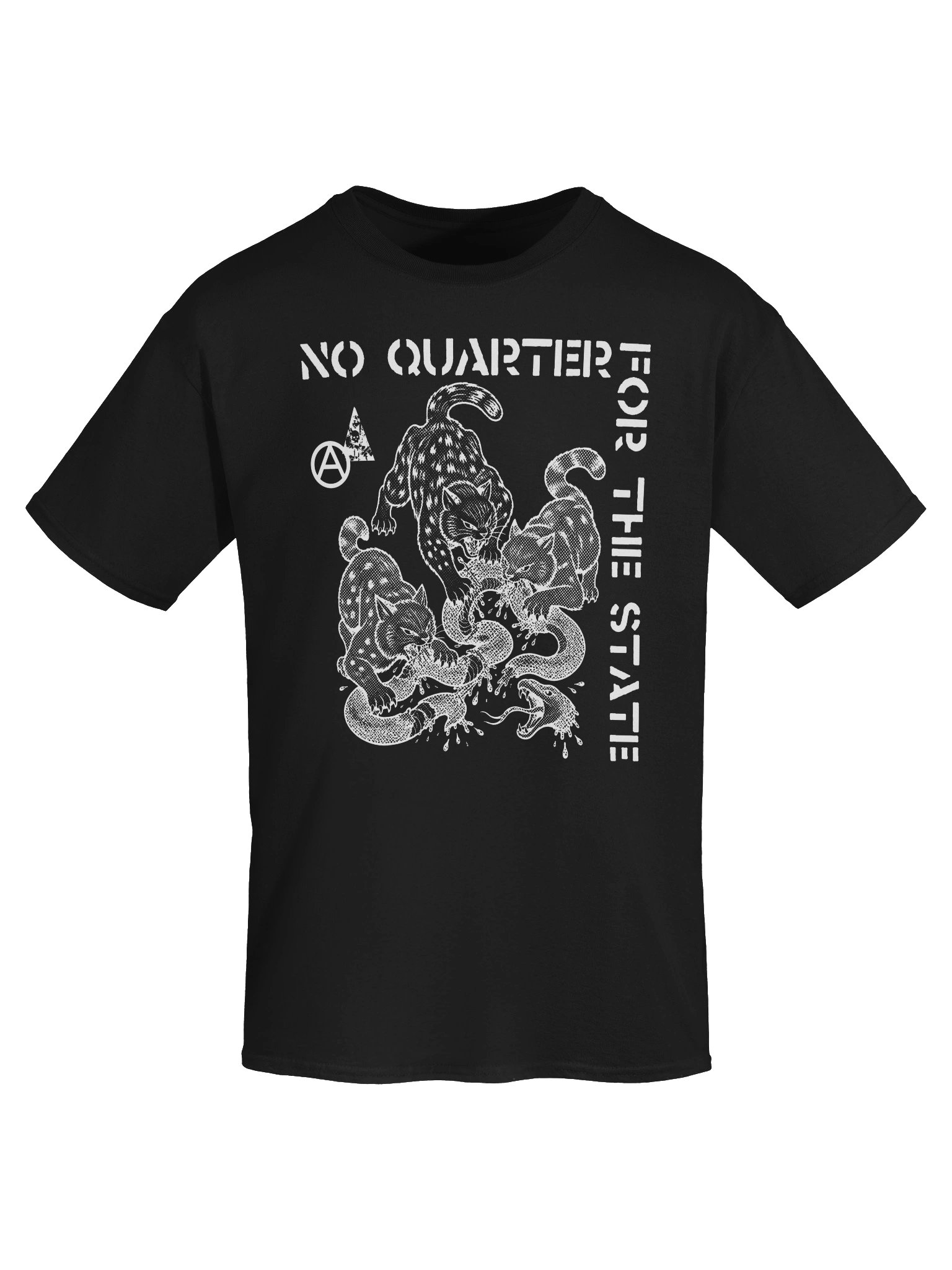 NO QUARTER FOR THE STATE product image (5)
