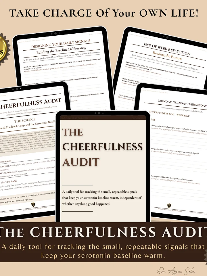 The CHEERFULNESS Audit product image (2)