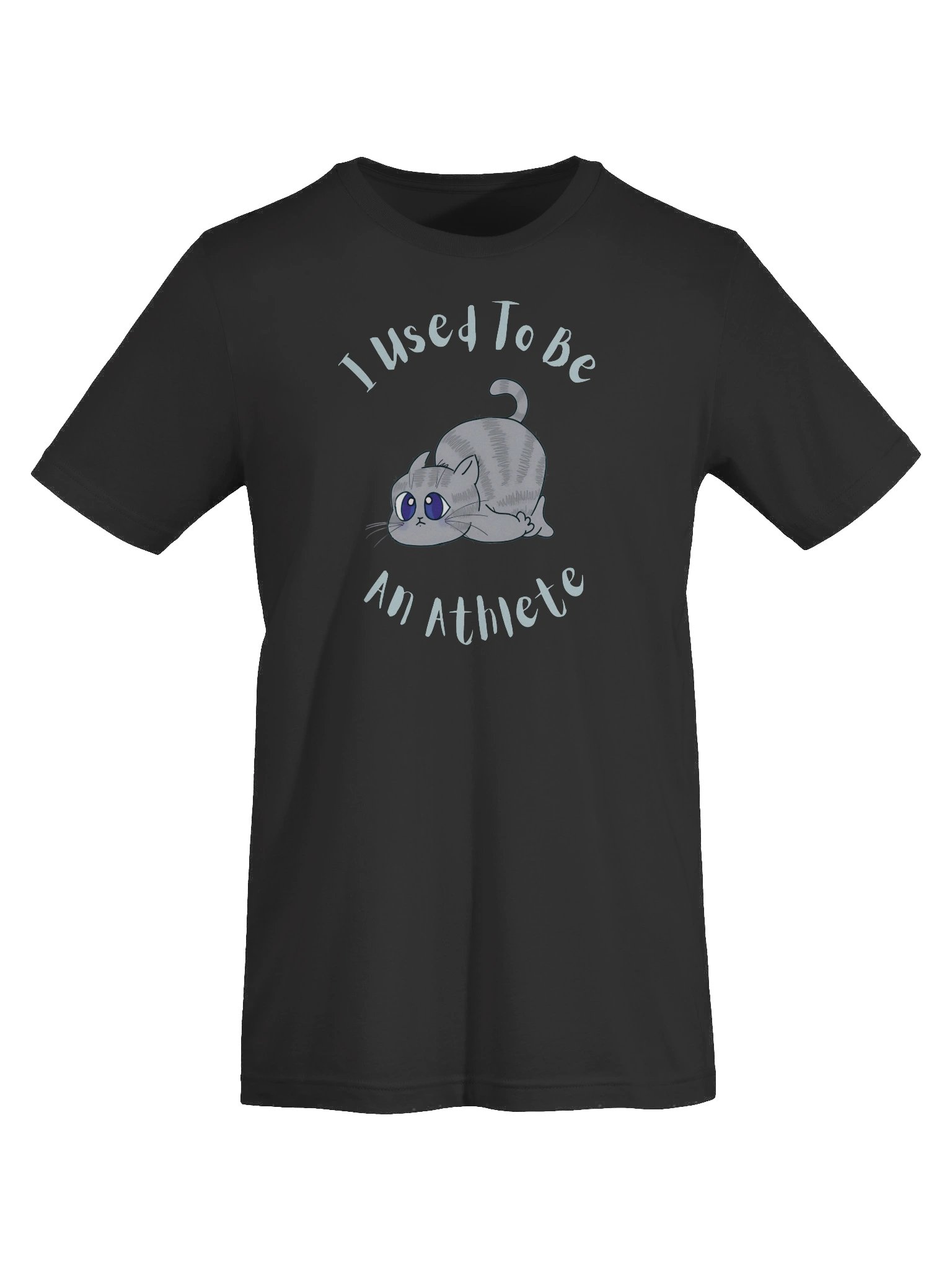Chubby Cat Confession Tee product image (7)