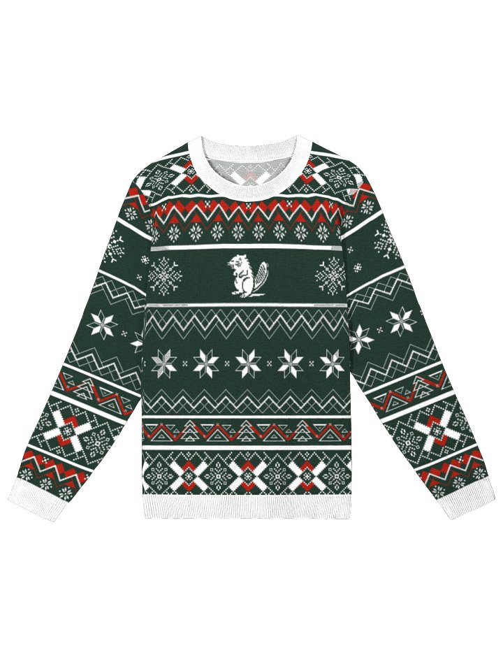 BVR | GEO Christmas Sweater (Green) product image (1)