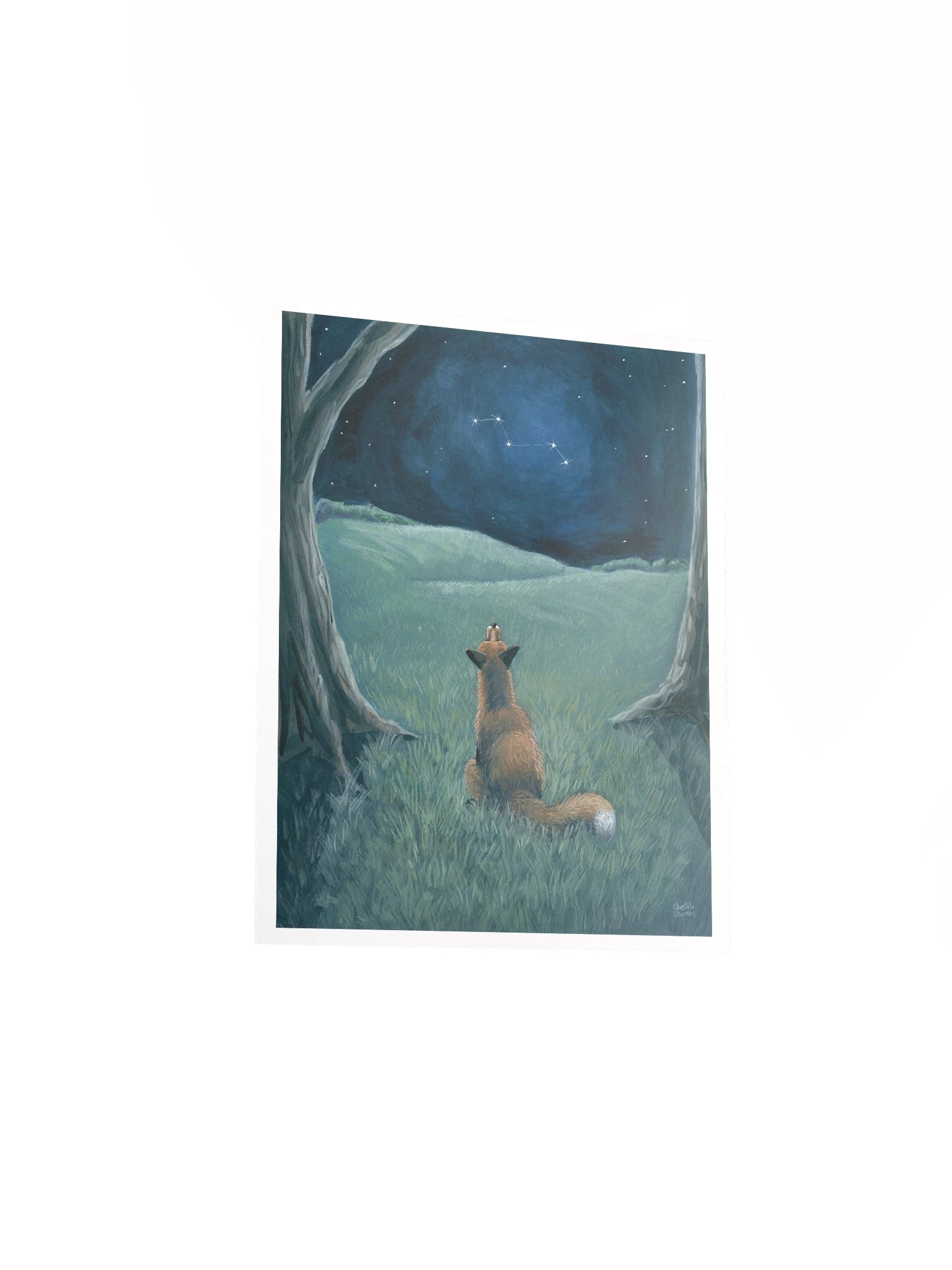 Vulpecula - Art Print product image (4)