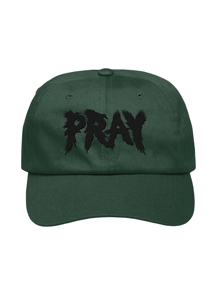 Birds Of Pray Relaxed Hat product image (1)