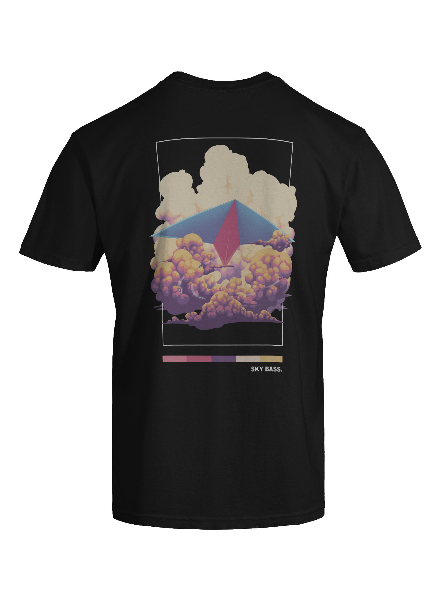 SKY BASS AIRPLANE BACKPRINT product image (9)