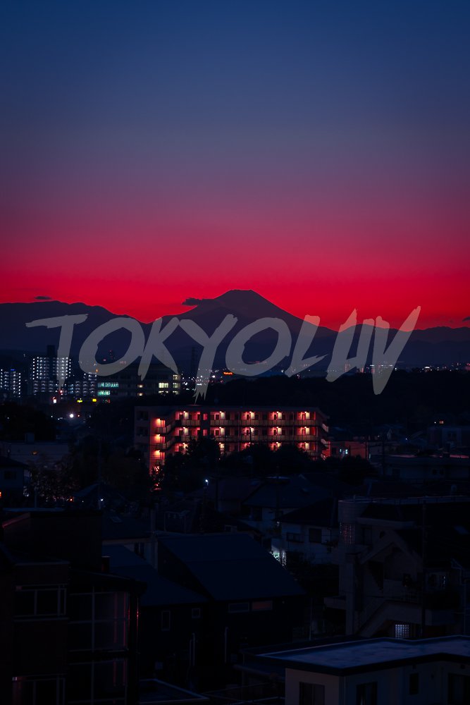 Tokyo Light & Shadow: Wallpaper Pack product image (6)