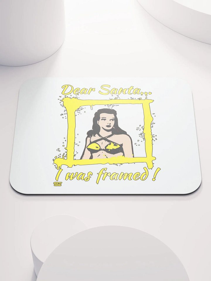 DEAR SANTA, I WAS FRAMED! product image (1)