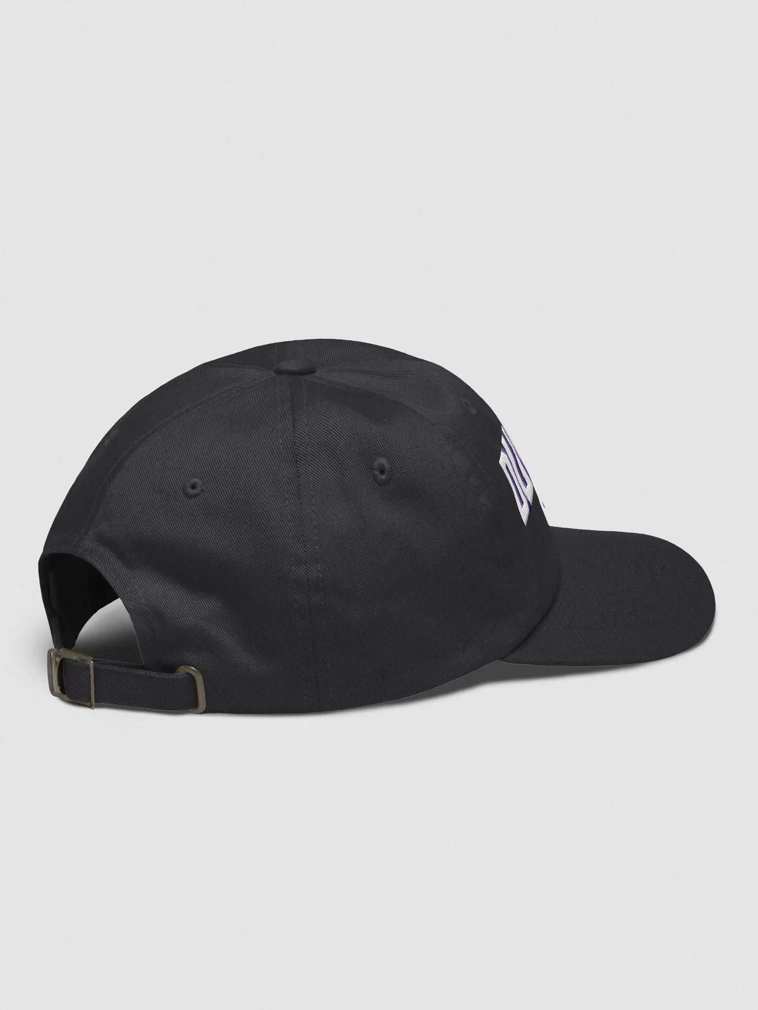 DUMP HIM. Hat product image (4)