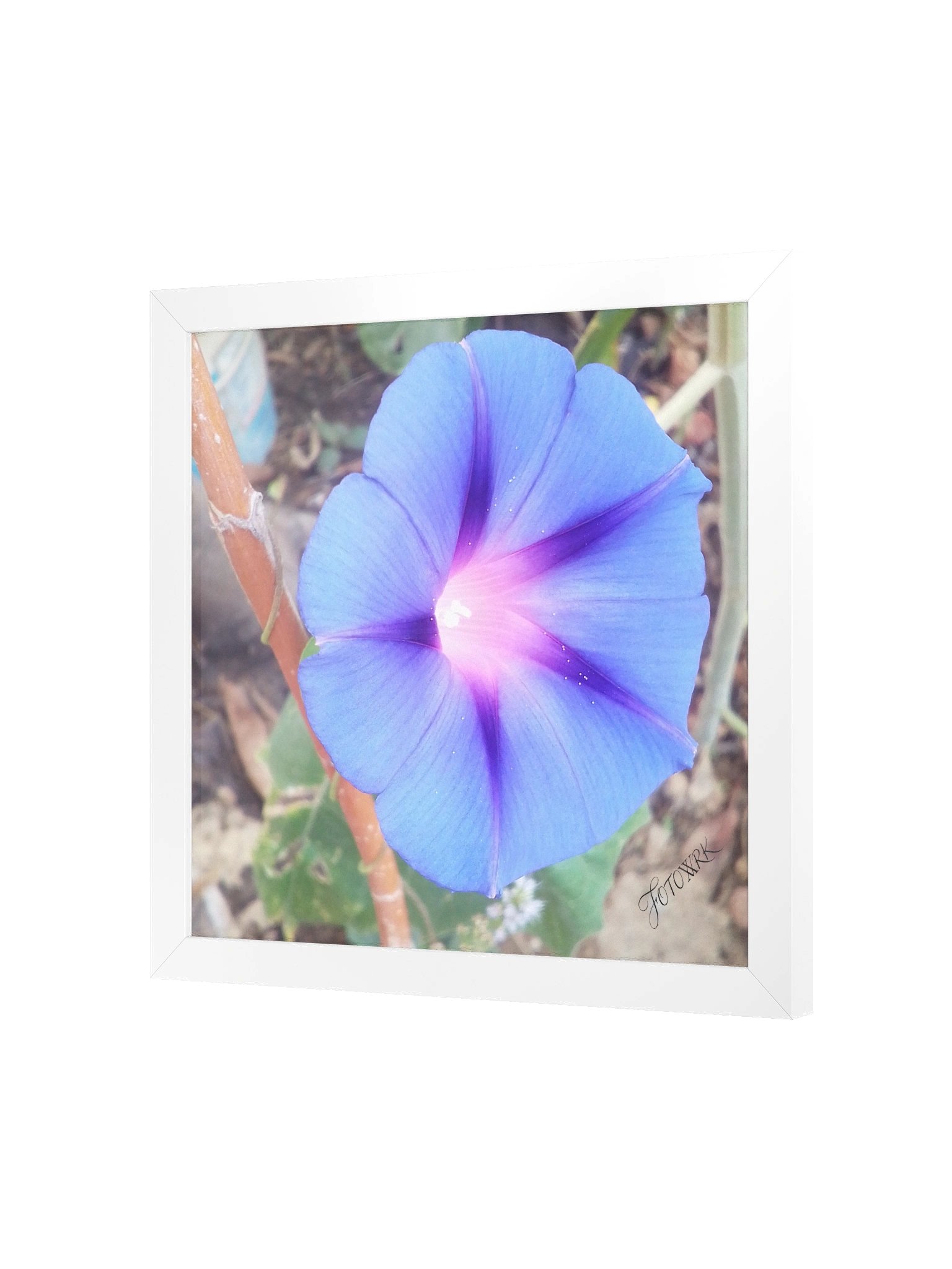 Glorya - Square Matte Poster product image (2)
