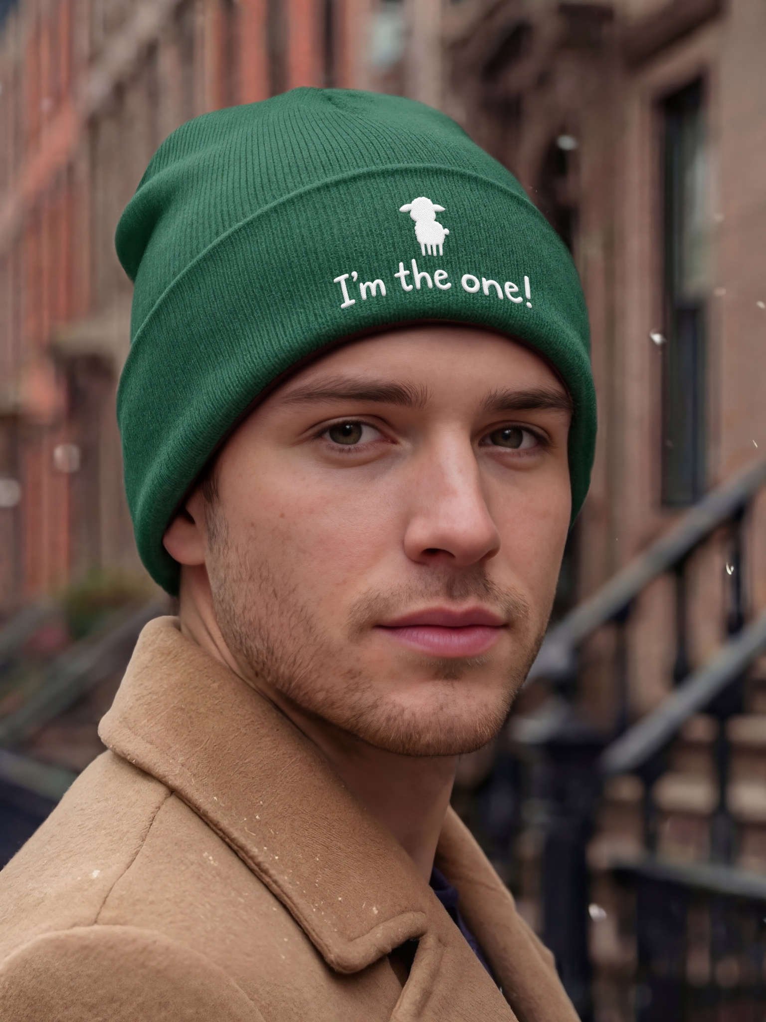I'm the One! Embroidered Cuffed Beanie – Soft & Cozy Unisex Accessory for Everyday Elegance product image (8)