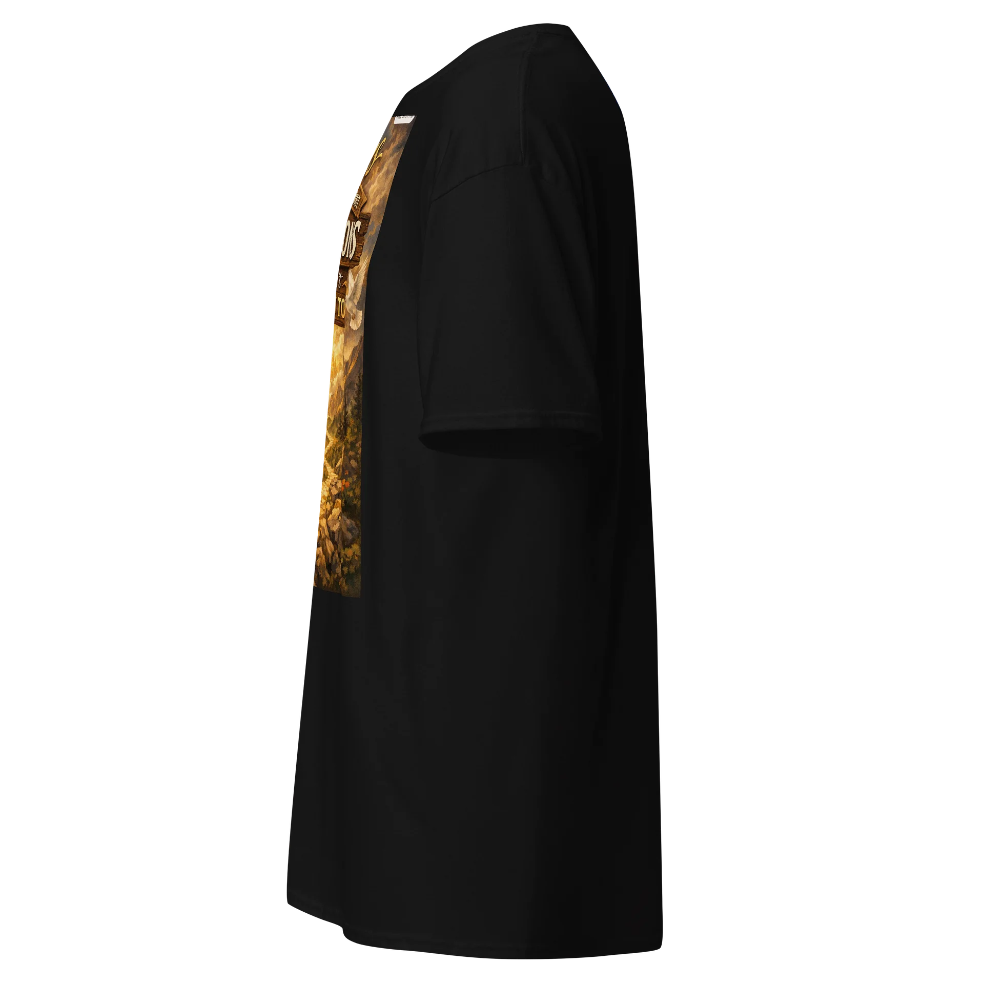 Jesus Leads to Heaven Tee product image (13)