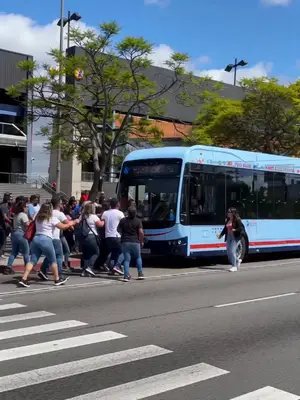 El ómnibus que entra a todo el mundo 😱