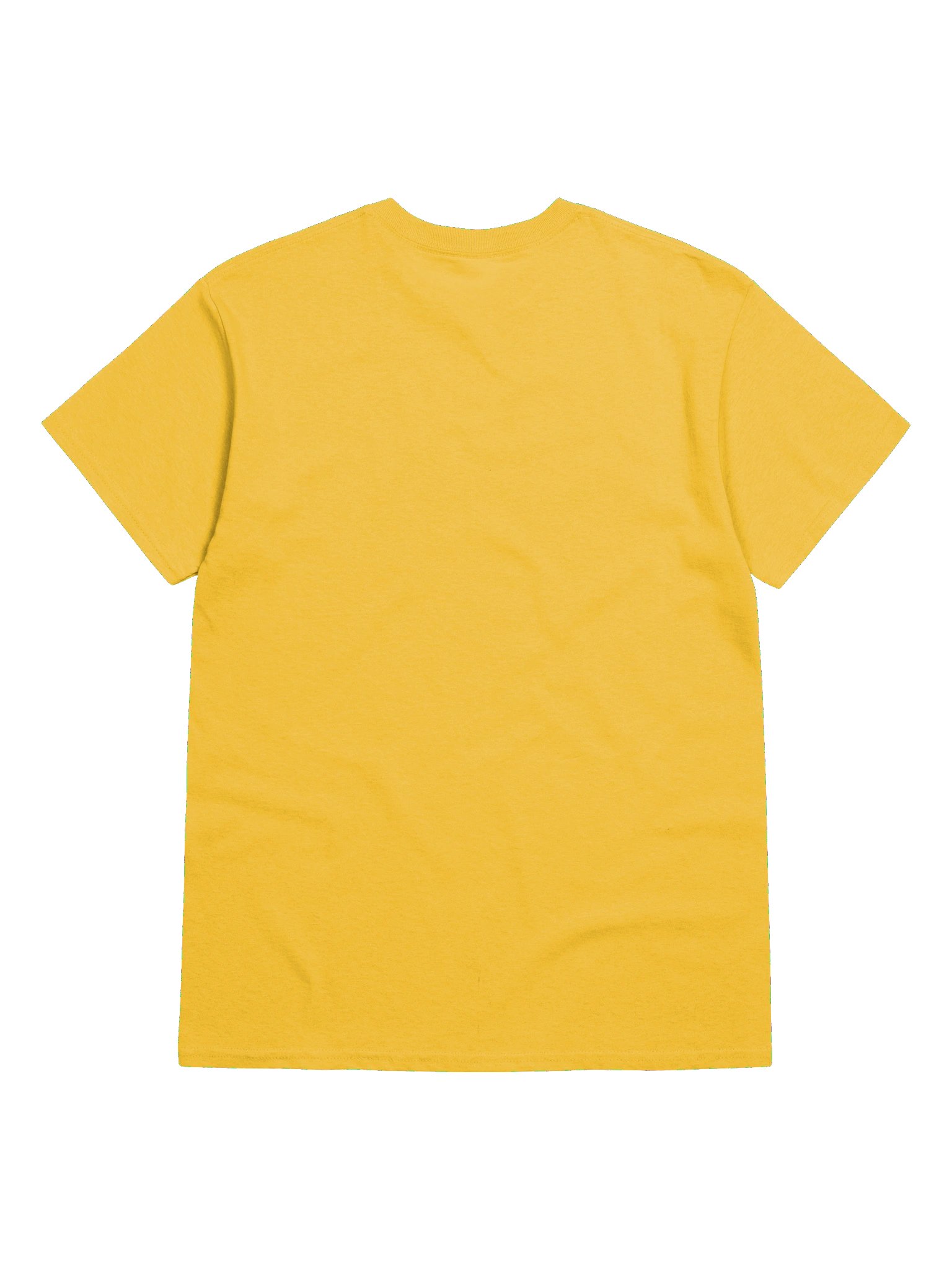 School is in Session Shirt product image (6)