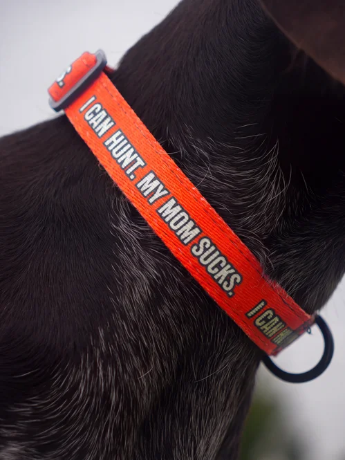 "I Can Hunt. My Mom Sucks" Upland Hunting Dog Collar product image (1)