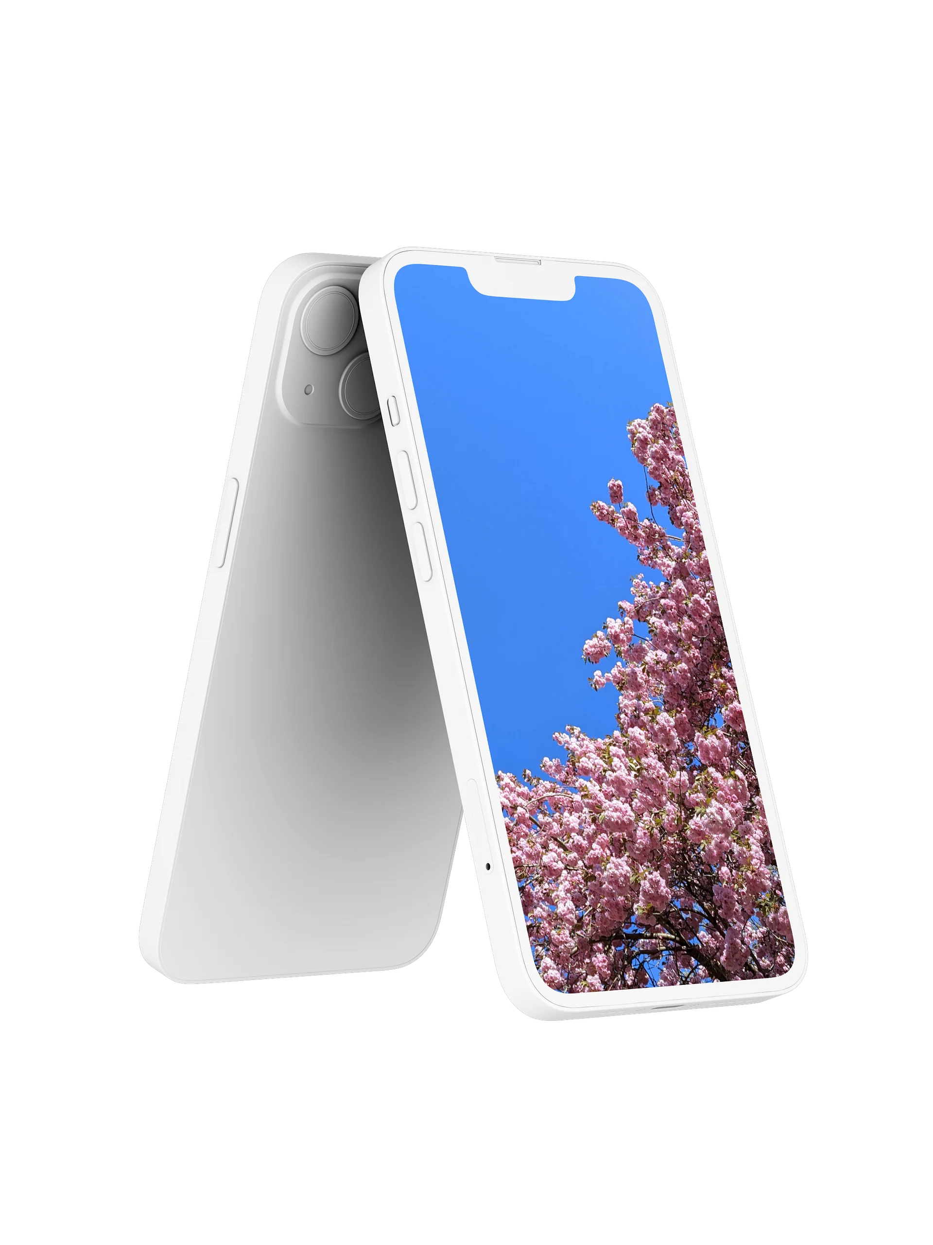 Cherry Blossom Arch Digital Wallpaper Set product image (2)