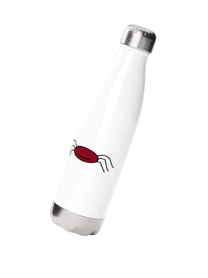 Ronald Stainless Steel Water Bottle product image (2)