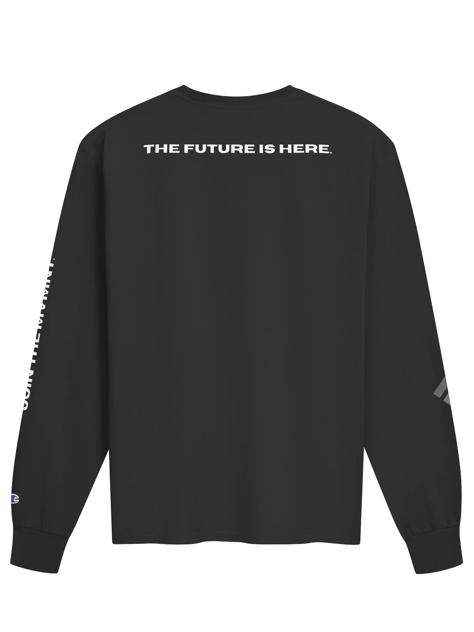 FGTP CHAMPION FALL SWEATER product image (2)