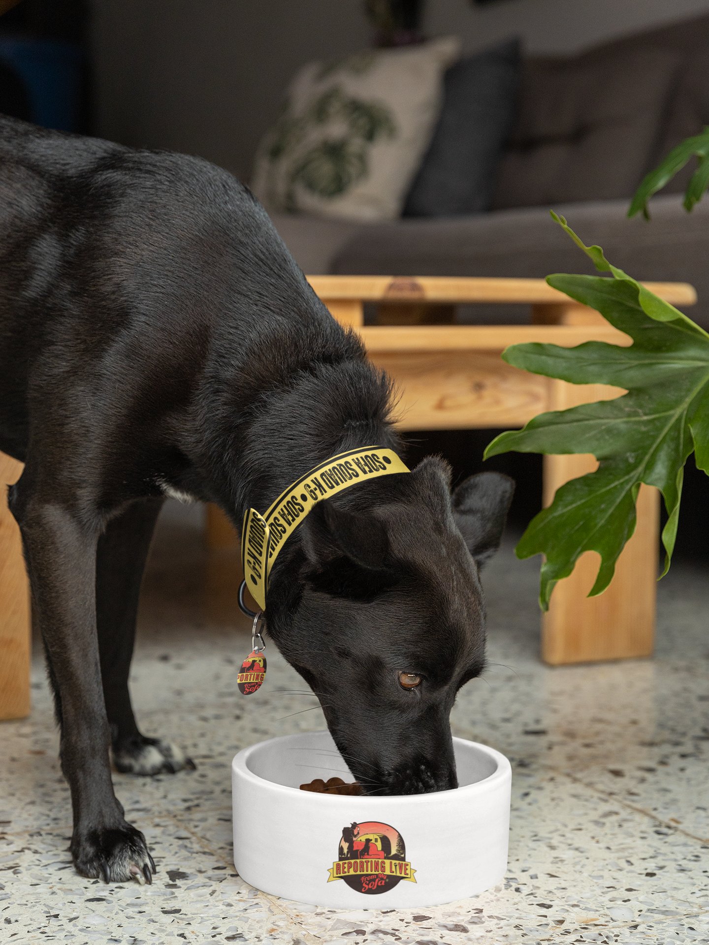 Sofa Squad K-9 Dog Collar product image (7)