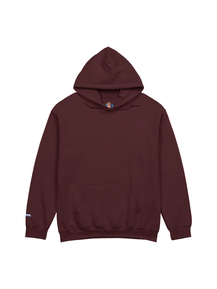 Stealth Hoodie 2026 product image (5)