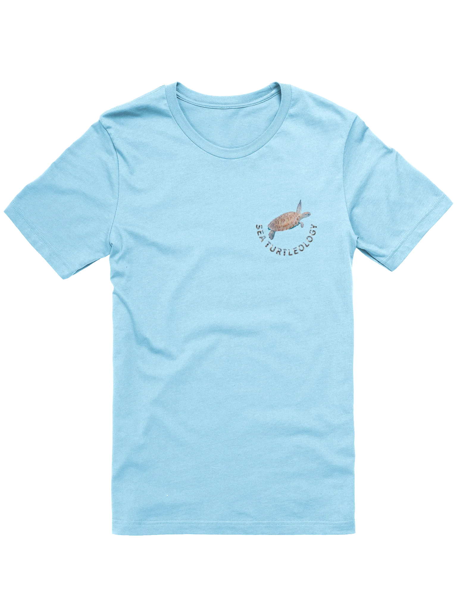 sea Turtleology product image (2)