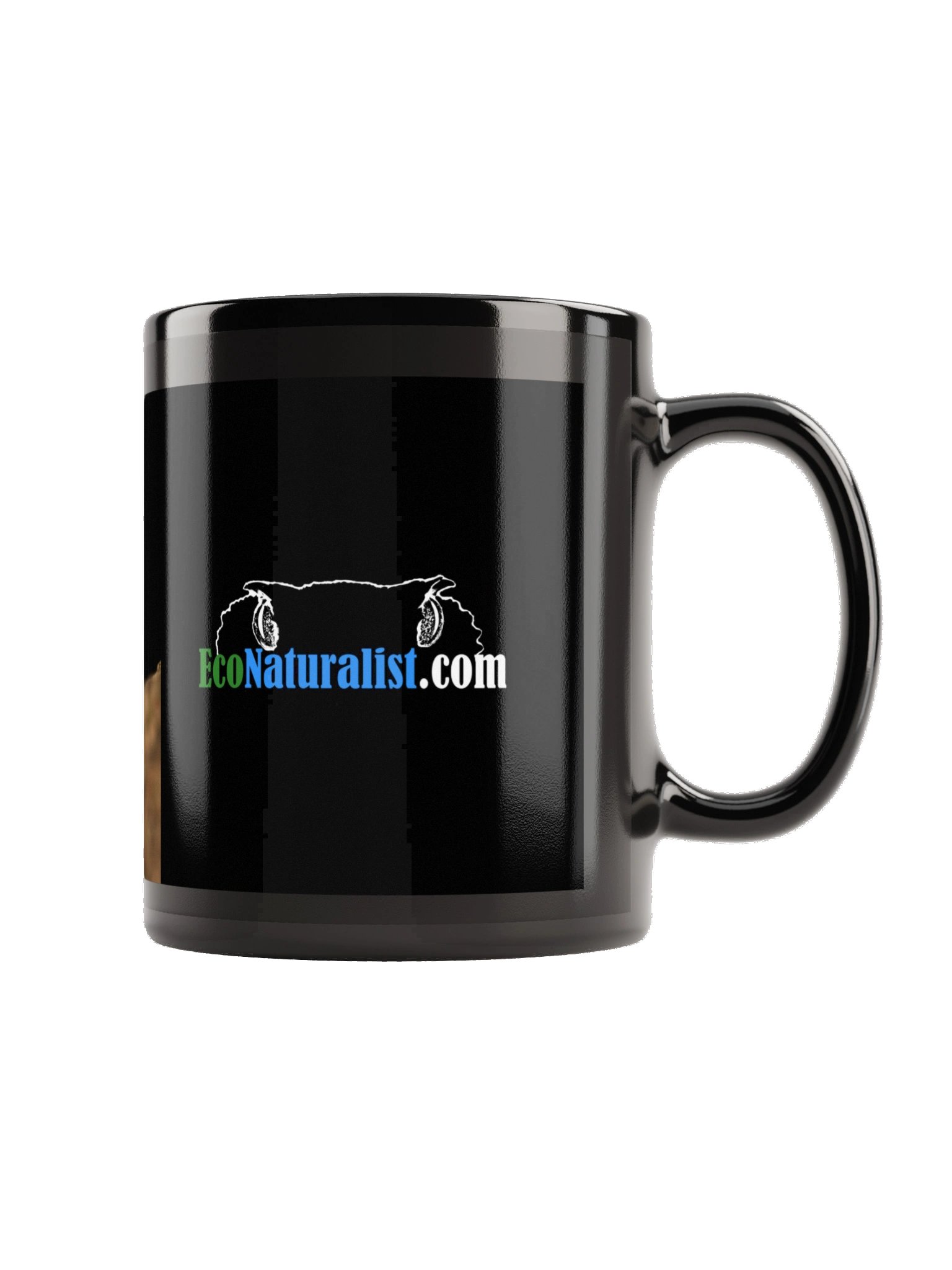 Eyelash Pitviper Mug | The Photo That Inspired Our Logo product image (3)