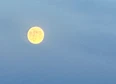 Landscape's tag thumbnail
