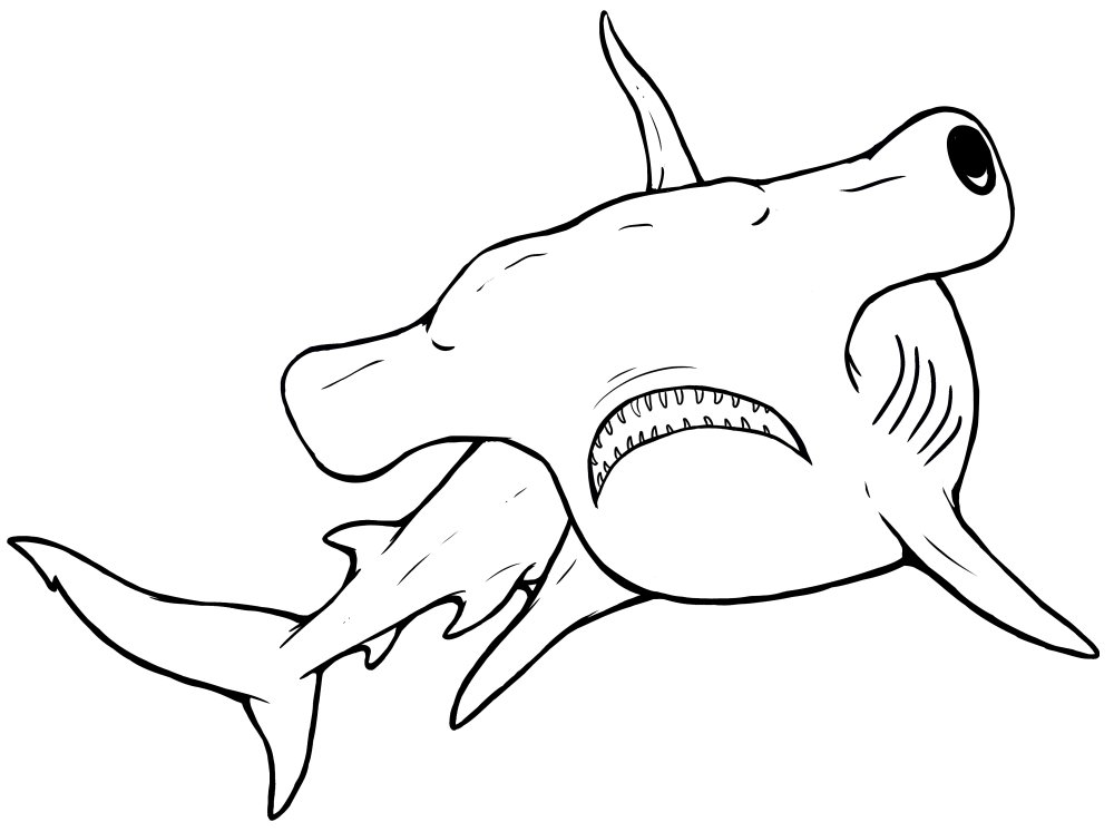 Hammerhead Coloring Pages product image (6)