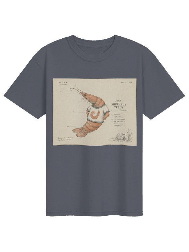 Shrimps is Bugs